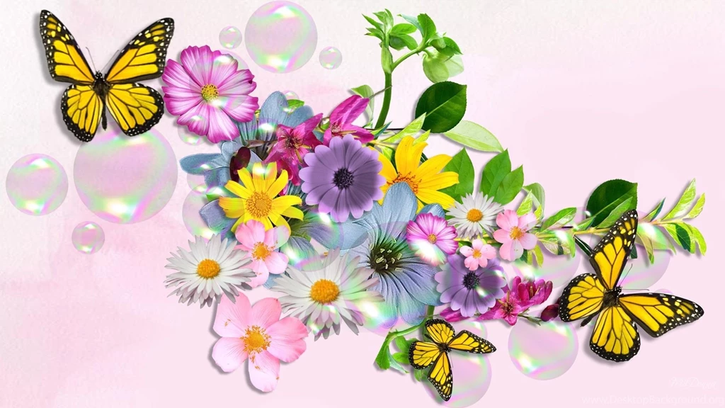 929 Butterfly HD Wallpapers
