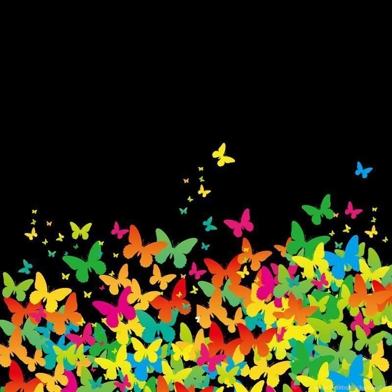 Painted Colorful Butterfly Backgrounds Vector