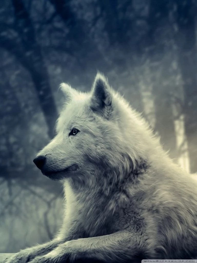 White Wolf Painting HD Desktop Wallpapers : Widescreen : High ...