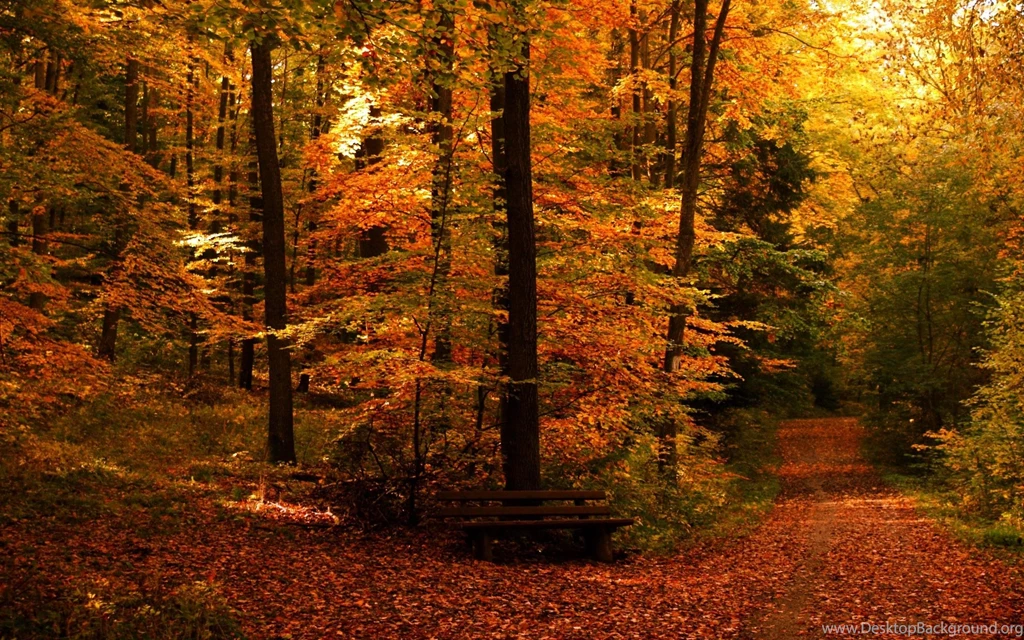 Download Free Autumn Desktop Backgrounds