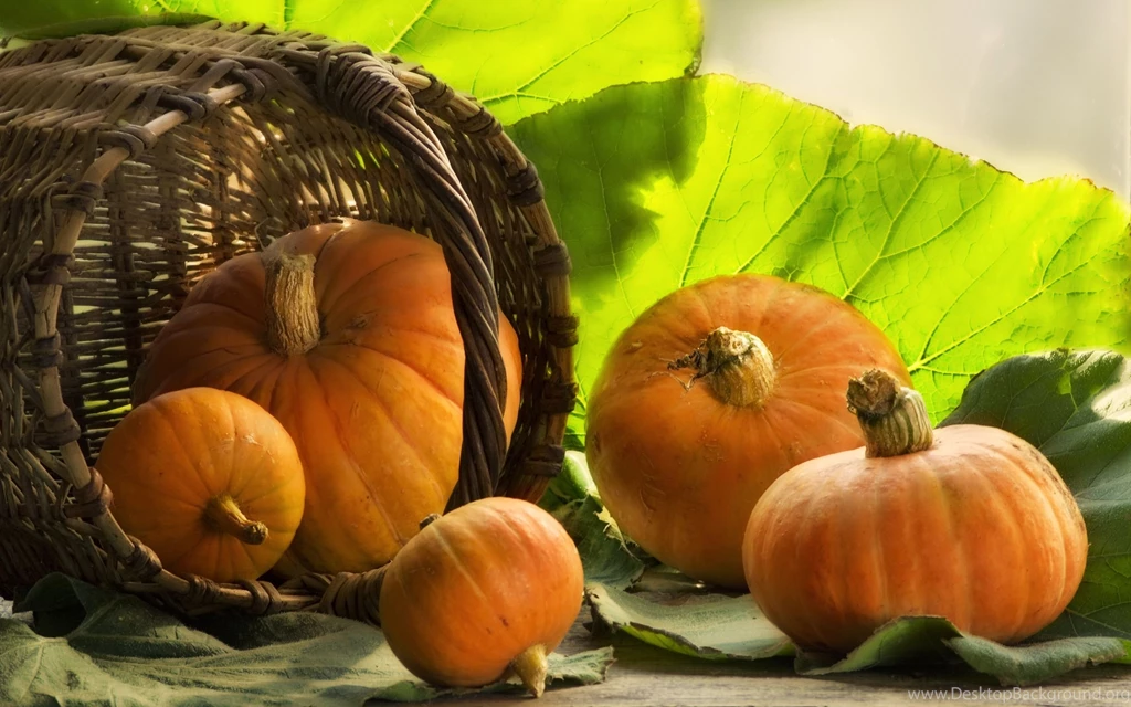 Pumpkin Computer Wallpapers, Desktop Backgrounds