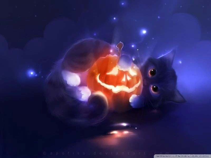 Kitty Playing With A Pumpkin HD Desktop Wallpapers : Widescreen ...