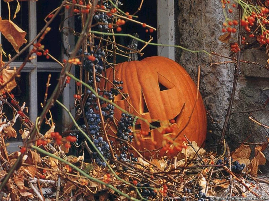Halloween Pumpkin Wallpapers Crazy Frankenstein