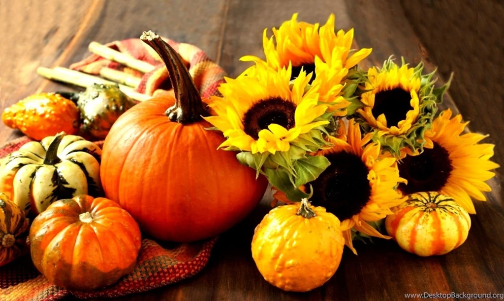 Pumpkin Wallpapers