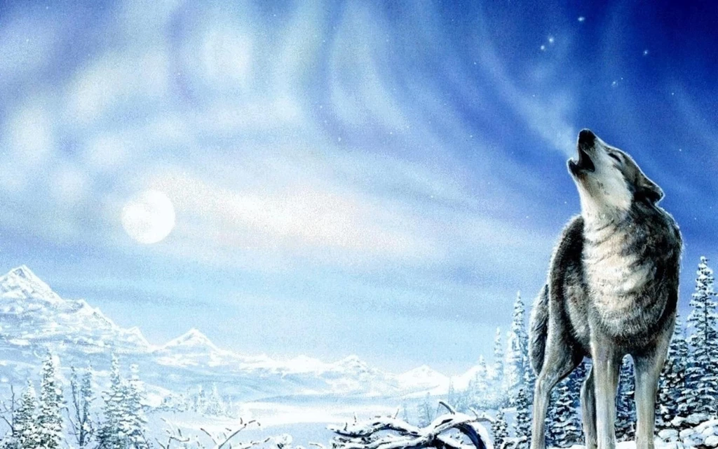 Wolf Wallpaper Backgrounds