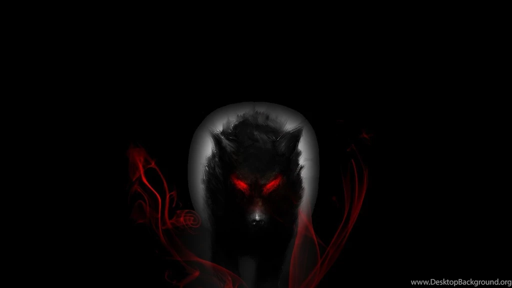 2 Wolf HD Wallpapers