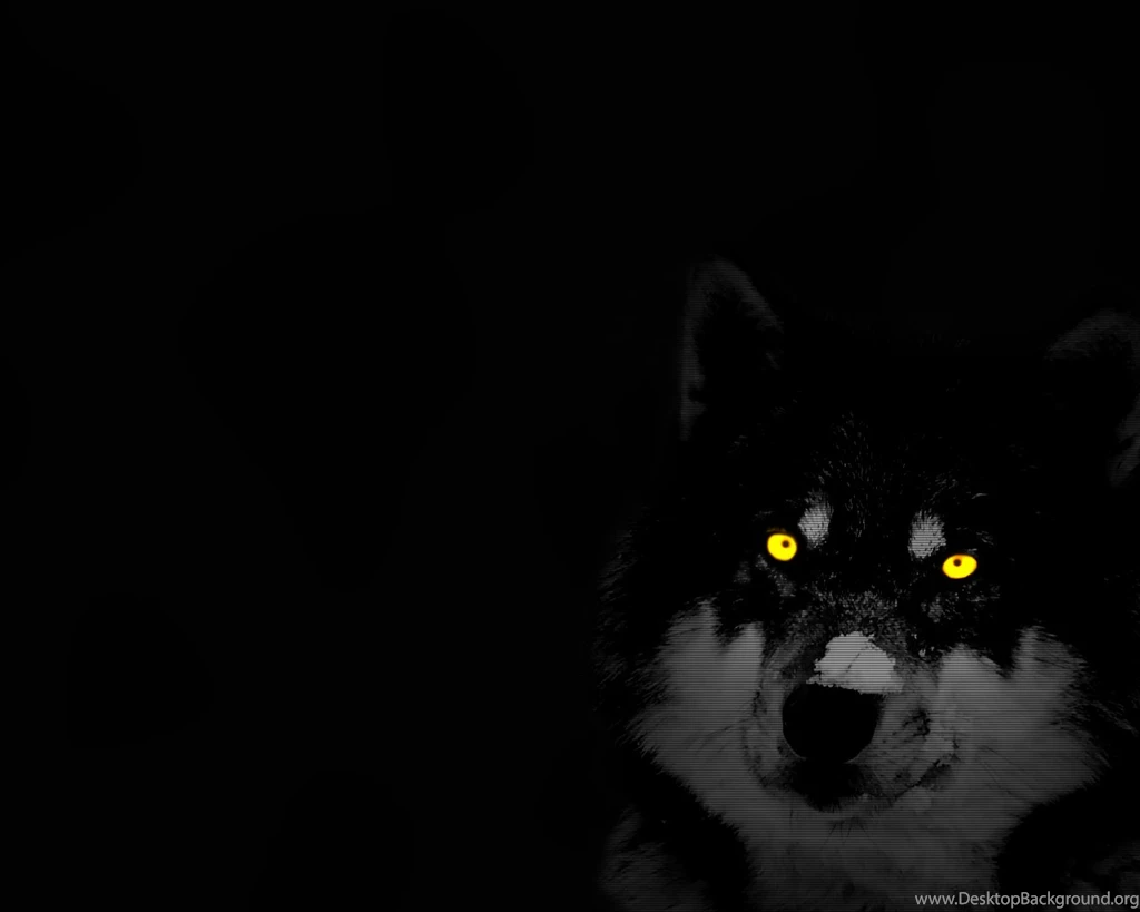 Wolf Backgrounds Pictures