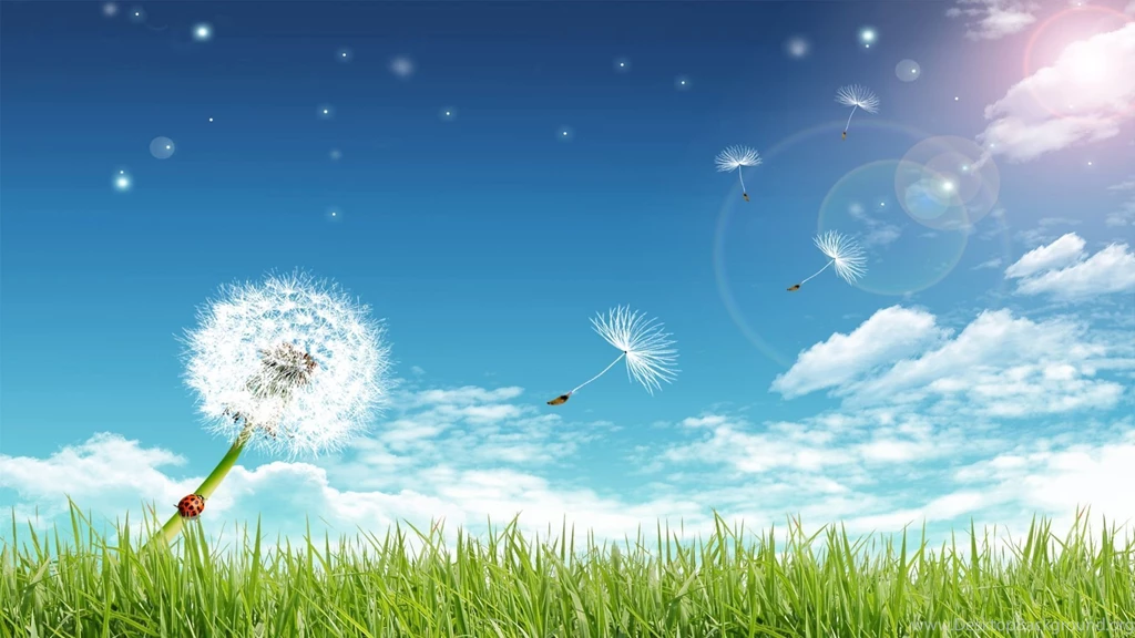Beautiful Summer Backgrounds Pix For Web