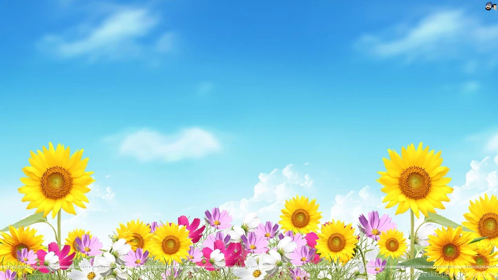 Summer Backgrounds Wallpapers And Backgrounds