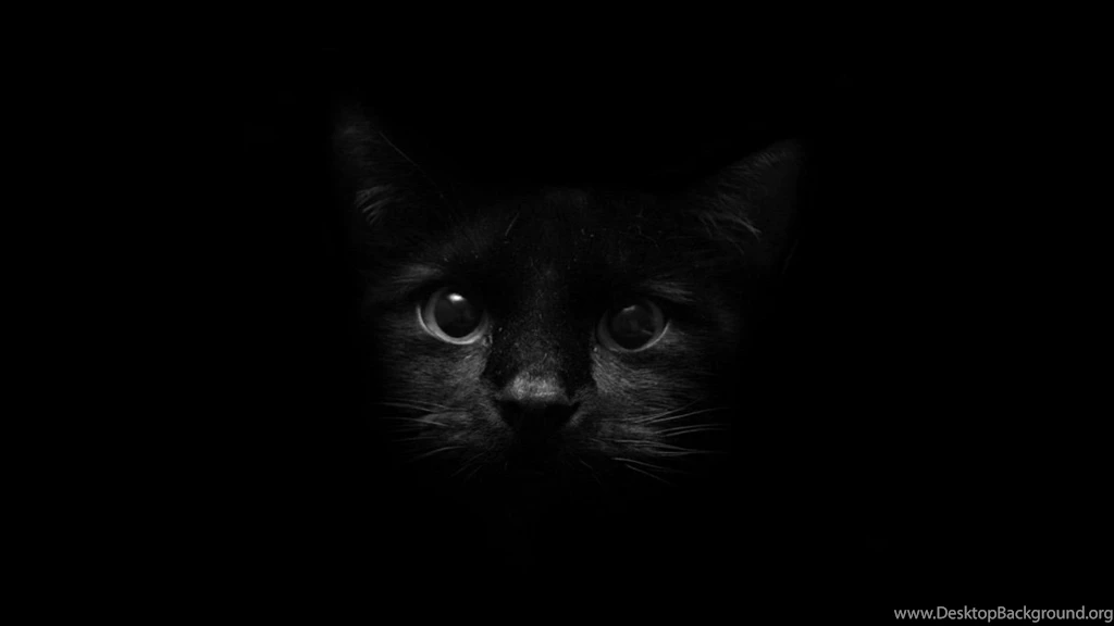 Black Dark Wallpapers   Wallpapers HD Wide