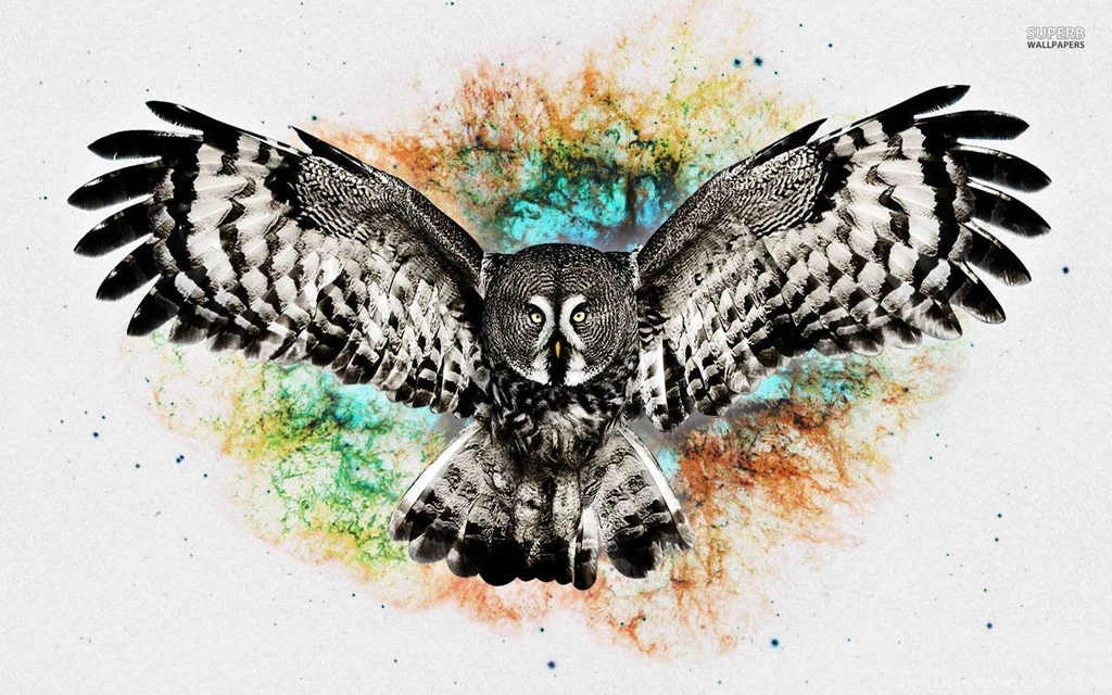Owl Wallpapers Digital Art Wallpapers