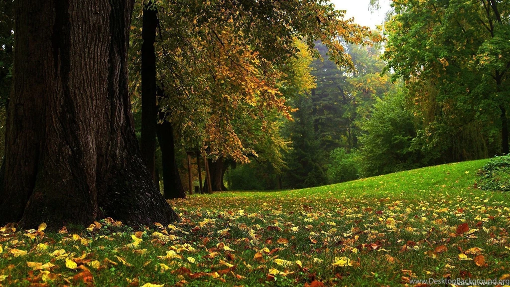 Wallpapers 1920x1080 nature 7.jpg
