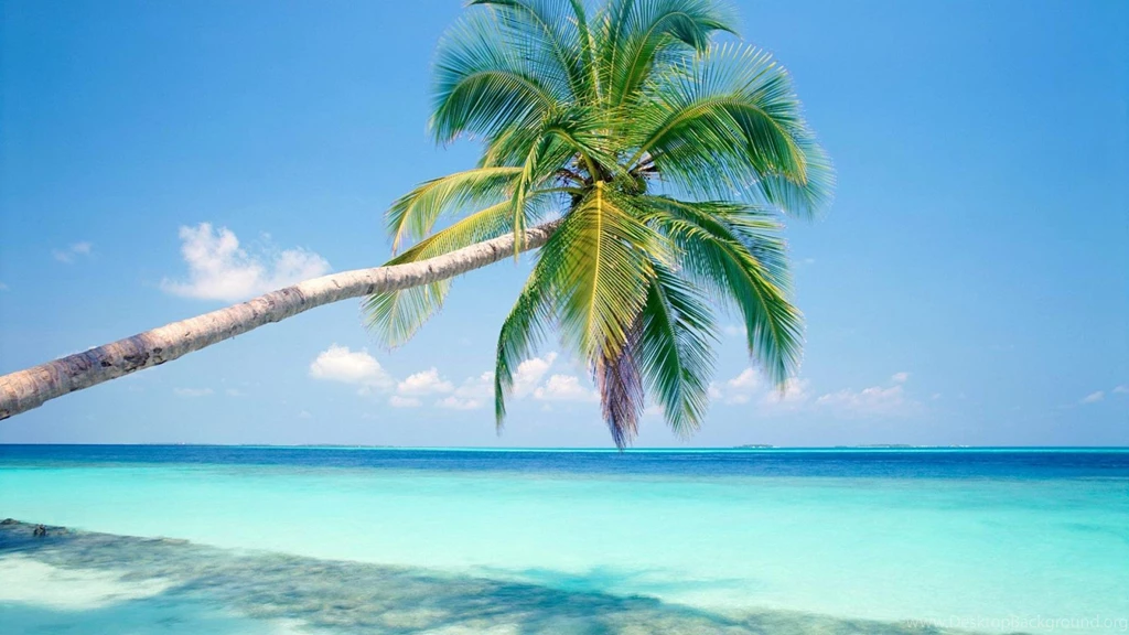 Background Images Hd Wallpapers 190635