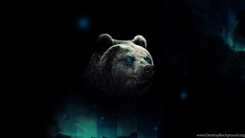 Bear Wallpapers HD By Tooyp On DeviantArt