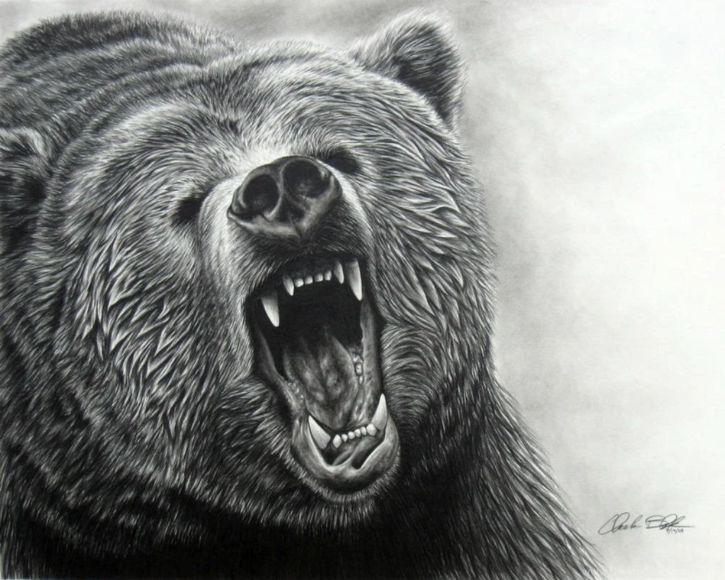 Bear Standing Attacking Wallpaper.