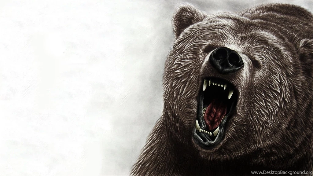Angry Bear Wallpapers