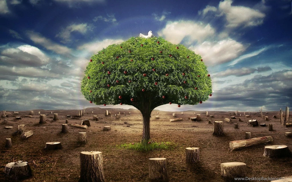 3D Desktop Backgrounds HD
