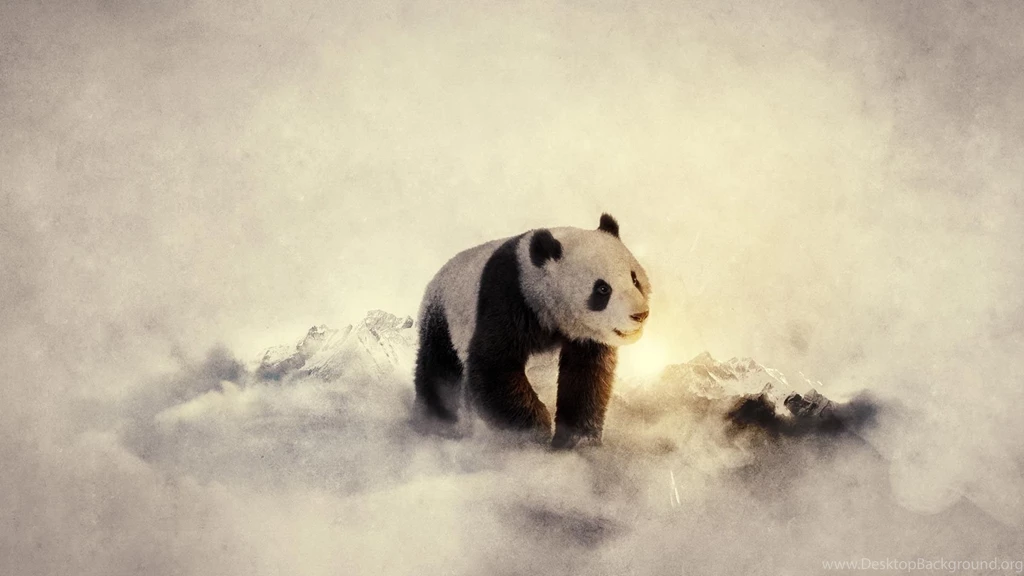 Baby Panda Wallpapers Desktop