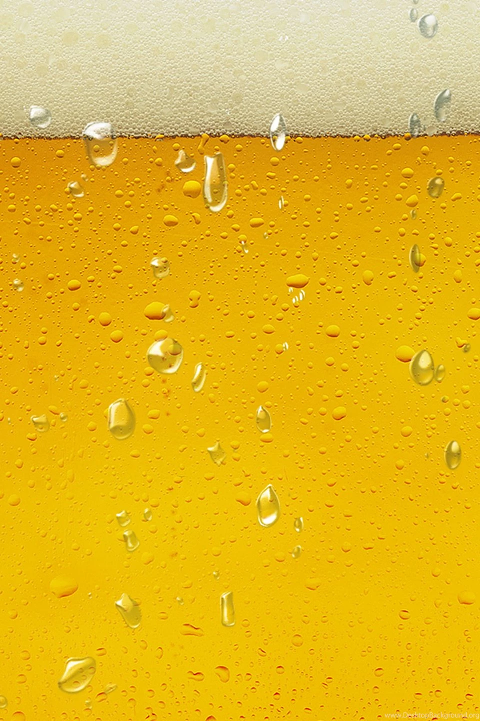 Download Free Mobile Wallpapers   Beer Wallpapers