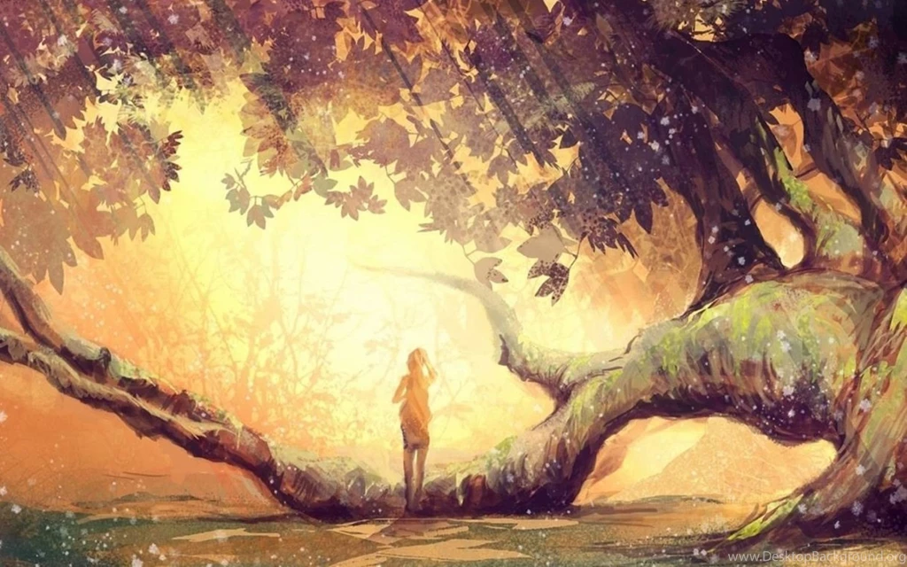 HDwallpaperUP – Collection Of High Definition Wallpapers For FREE