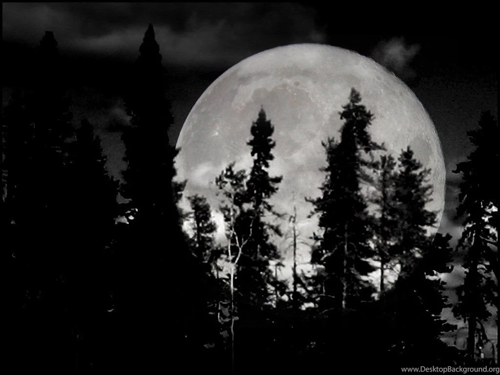 Moon, Wallpapers Metal Nature: Heavy Metal Wallpapers, Pictures ...