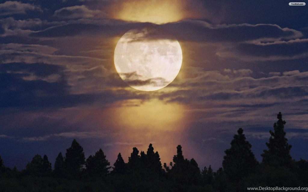 YouWall Full Moon Wallpapers Wallpaper,wallpapers,free ...