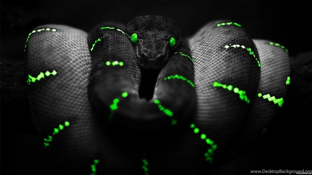 Razer Snake Wallpapers