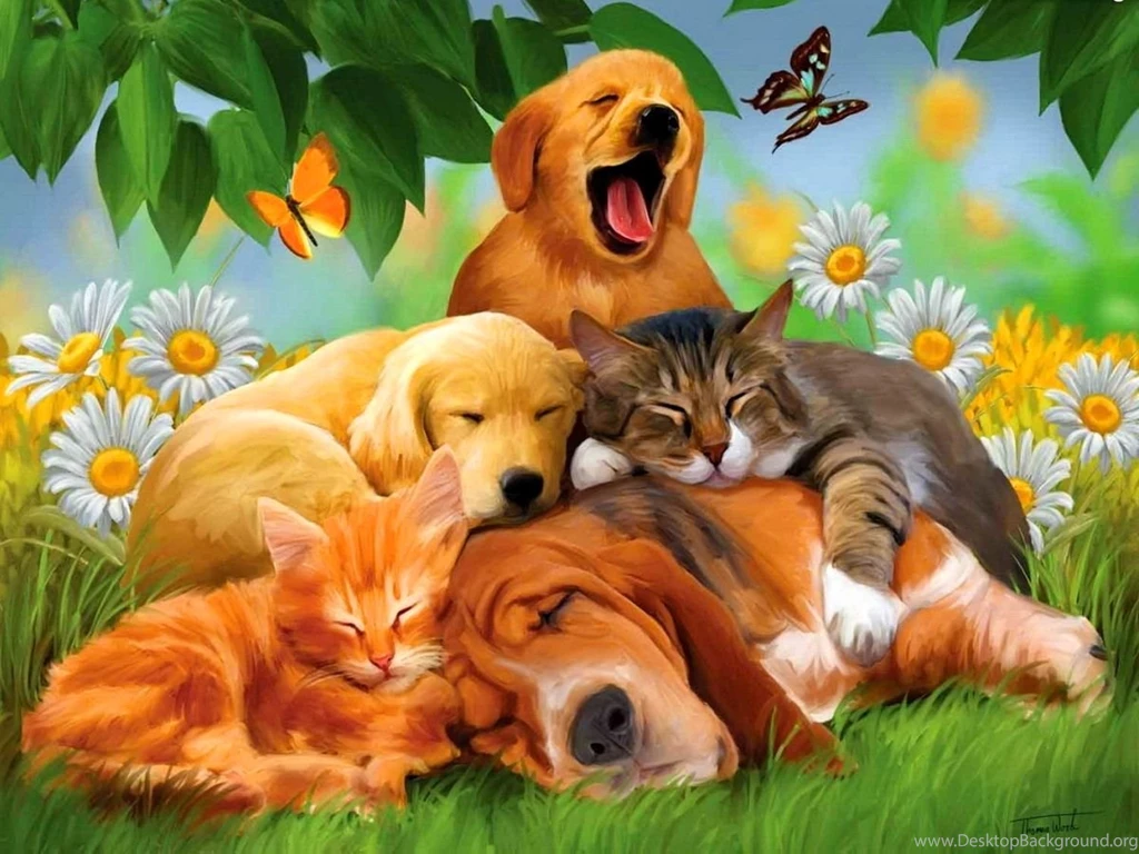 Animal Wallpapers Hd Animal Wallpapers