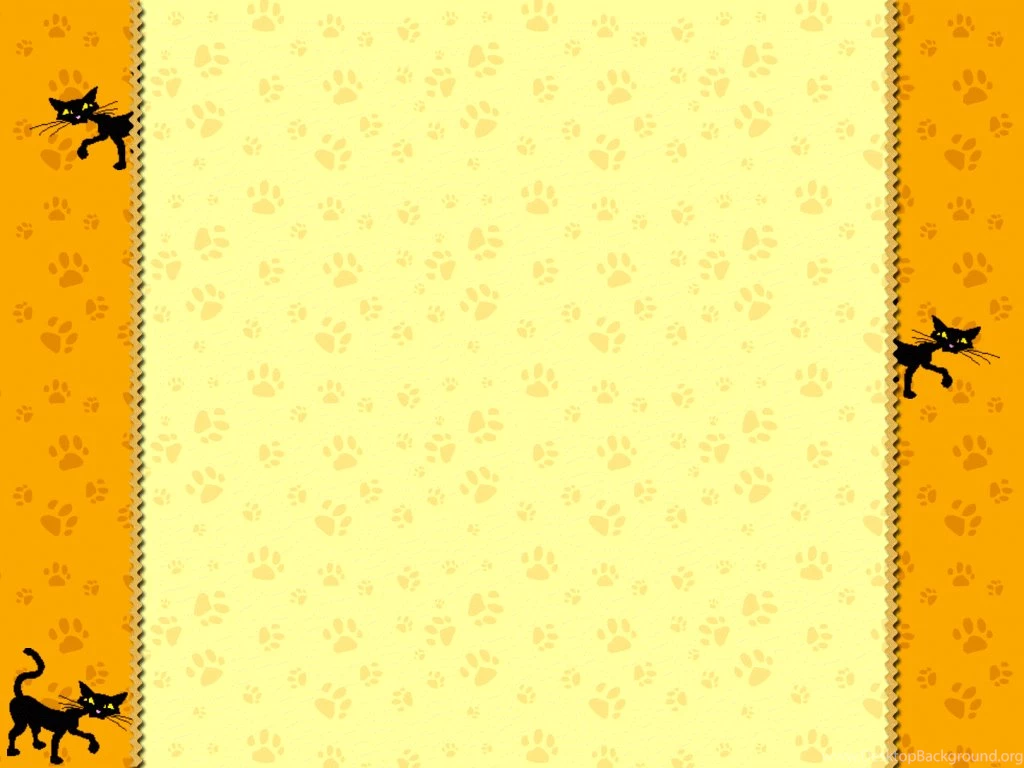 Cat Backgrounds Pictures