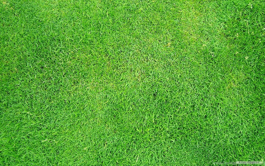 Free Wallpapers Free Nature Wallpapers Grass Football Pitches ...