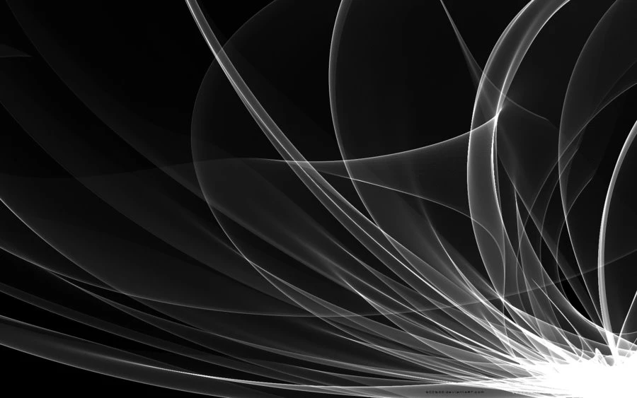 Black White Favourites By Madizzlee On DeviantArt