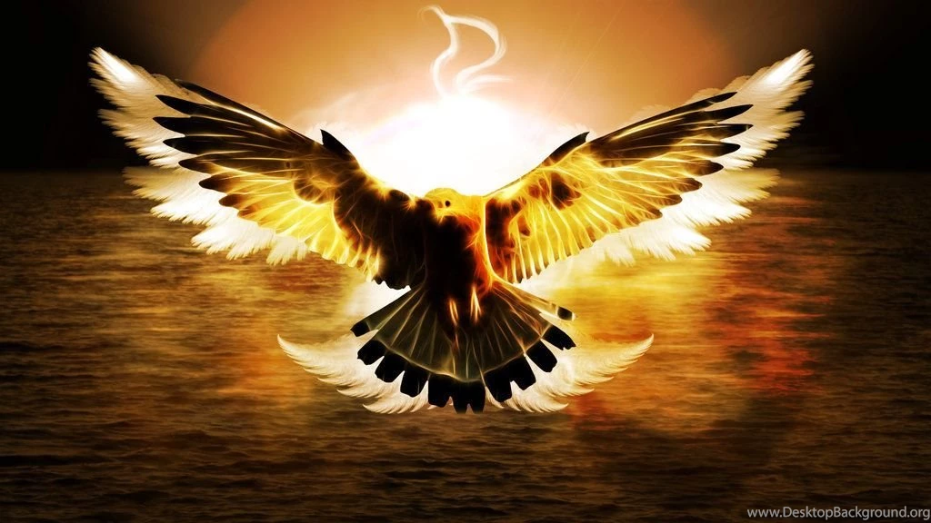 DeviantArt: More Like Flame Eagle (Wallpaper) By Hardii