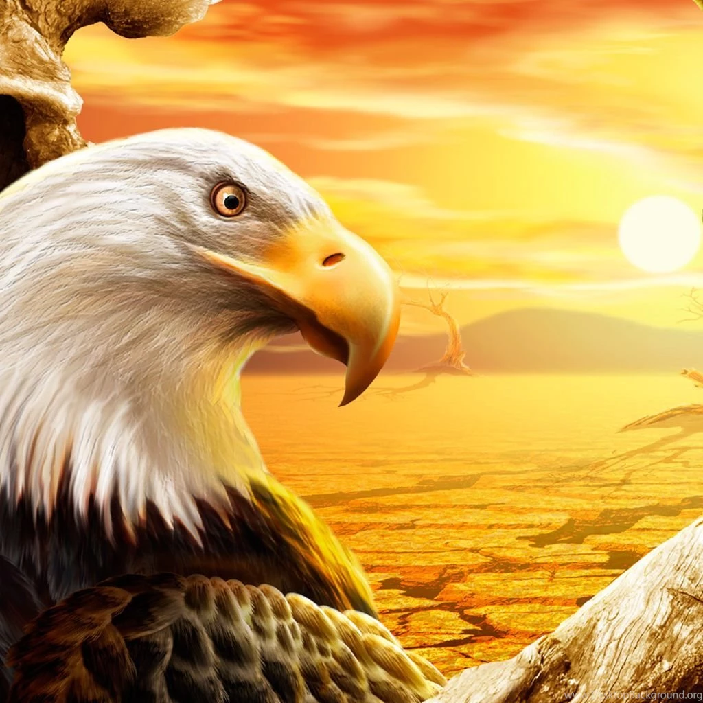 Eagle iPad Wallpapers Download