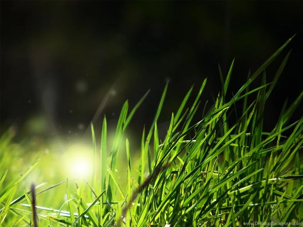 Nature Wallpapers Hd