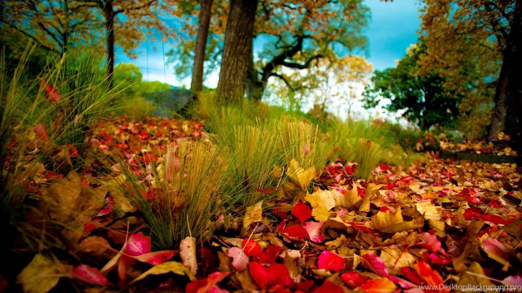 Awesome nature wallpapers hd.jpg