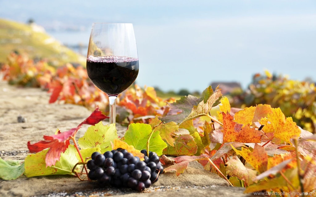 234 Wine HD Wallpapers