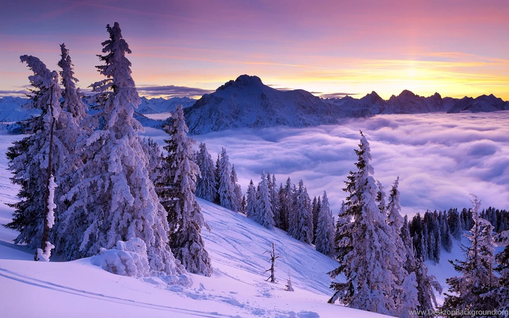 Tablet Winter Wallpapers HD