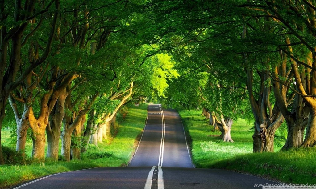 Road, Summer HD Desktop Wallpapers : Widescreen : High Definition ...