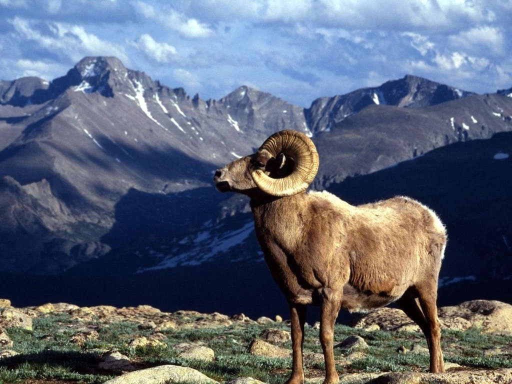Colorado Wallpapers Amazing 73 HD