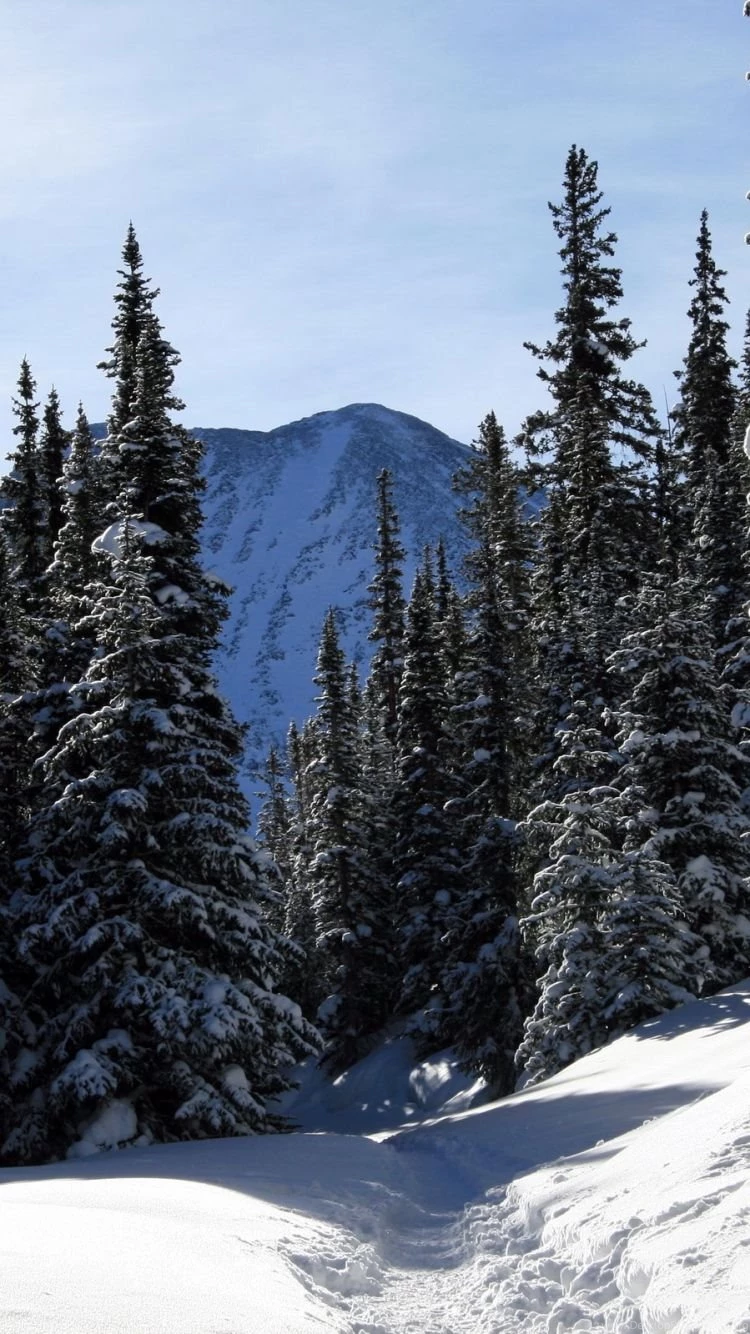 iPhone 6 Colorado Wallpapers HD, Desktop Backgrounds 750x1334