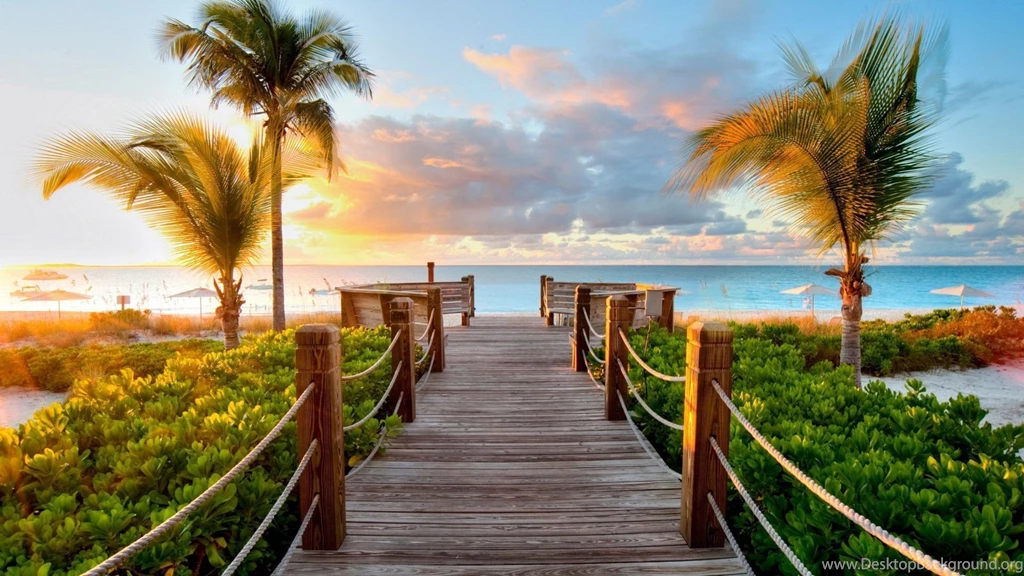 Download Wallpapers 1920x1080 Track, Palm Trees, Beach, Sea, Ocean ...