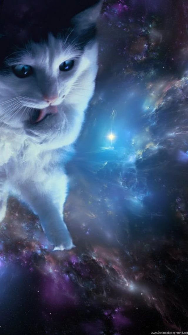 Cat In Space iPhone 5 Wallpapers