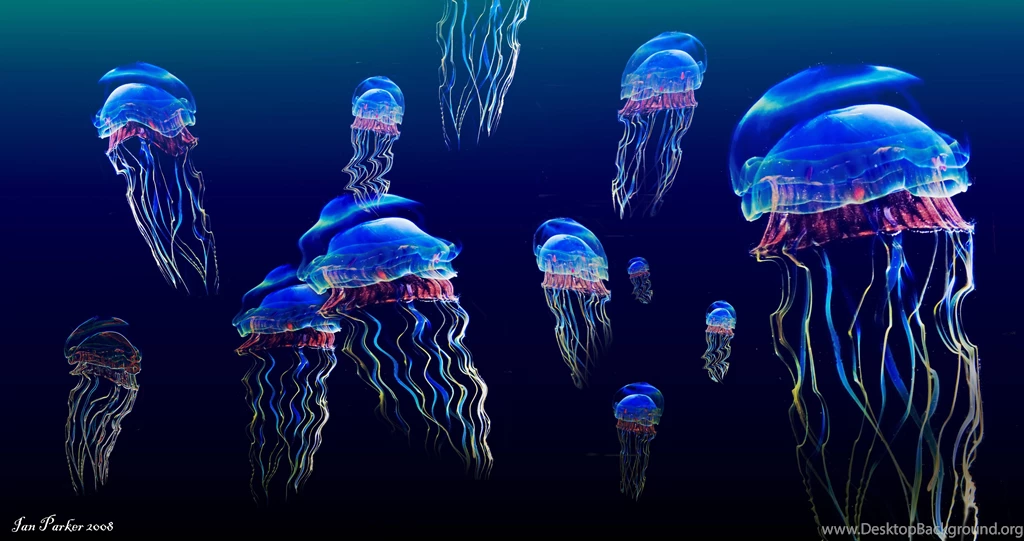 Jellyfish Backgrounds