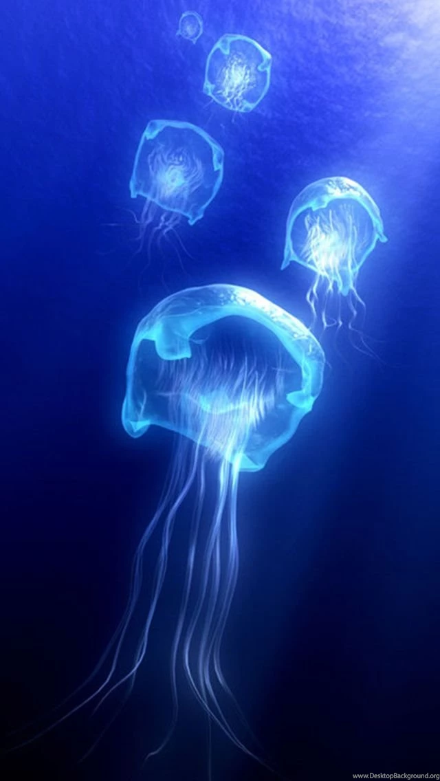 Jellyfish iPhone 5s Wallpapers