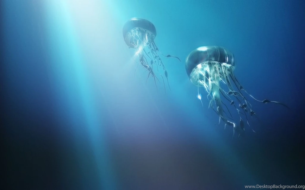 1280x800 The Journey Of The Jellyfish Desktop PC And Mac Wallpapers