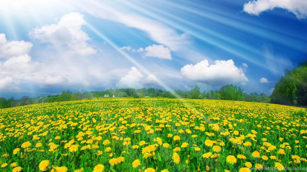 Spring Wallpapers HD Free Download