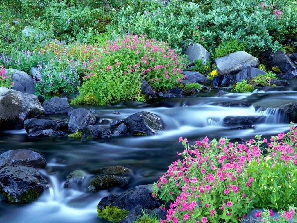 Spring Backgrounds Desktop