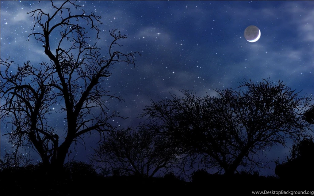 Theme Bin» Blog Archive » Night Scene Widescreen Wallpapers