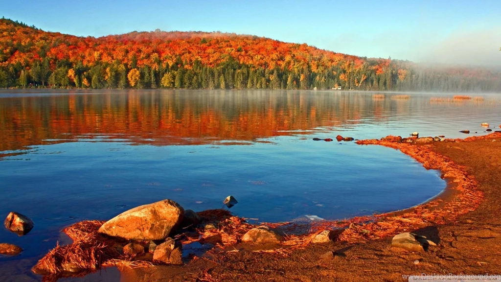 Autumn Wallpapers Hd 1750387