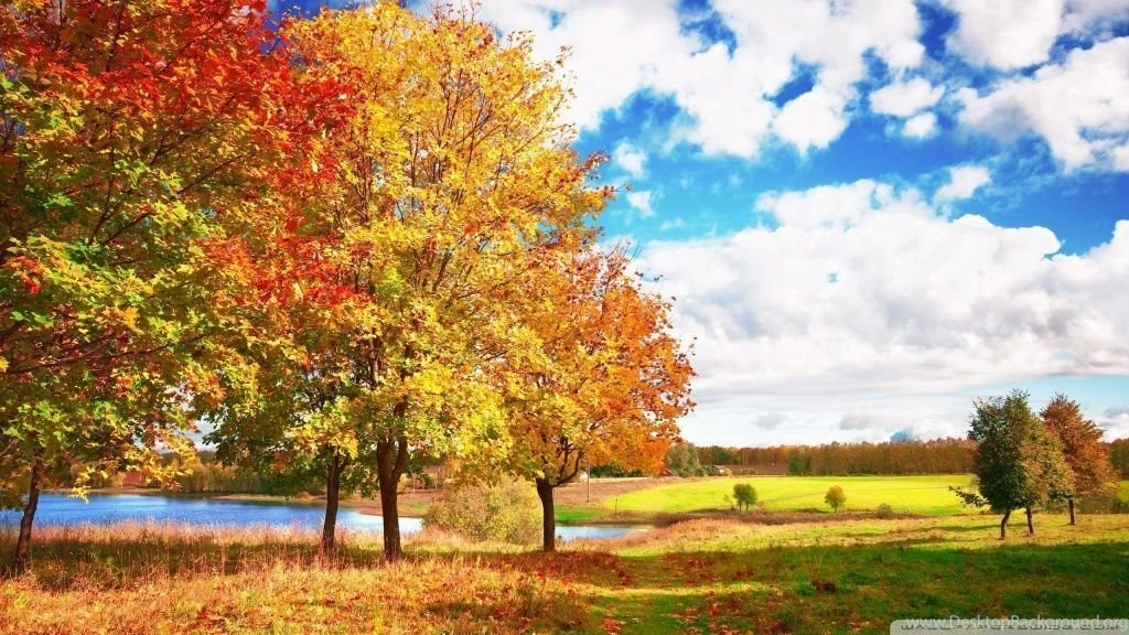 Beautiful Autumn Day HD Desktop Wallpapers : Mobile : Dual Monitor